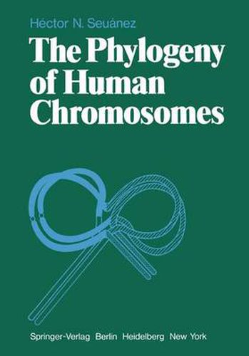 Cover image for The Phylogeny of Human Chromosomes