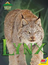 Cover image for Lynx