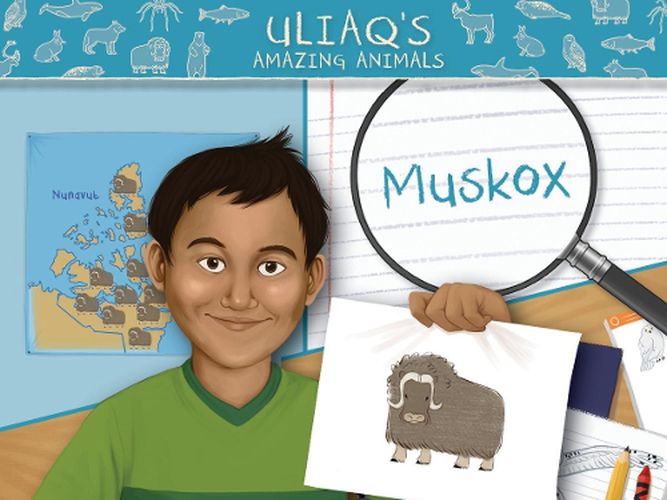 Cover image for Uliaq's Amazing Animals: Muskox: English Edition