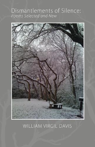 Cover image for Dismantlements of Silence: Poems Selected and New