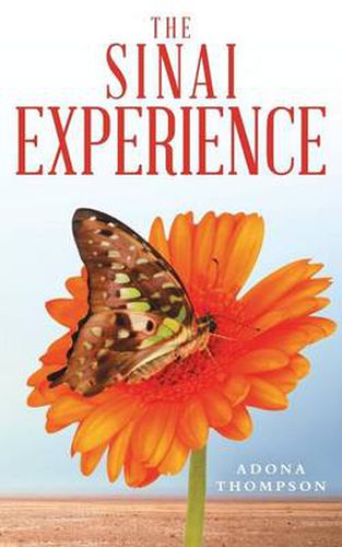 Cover image for The Sinai Experience