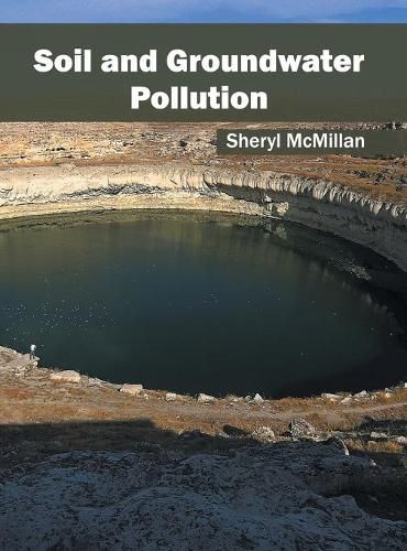 Cover image for Soil and Groundwater Pollution