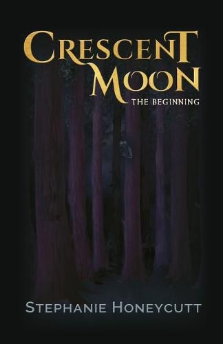 Cover image for Crescent Moon