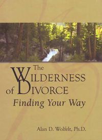 Cover image for The Wilderness of Divorce: Finding Your Way