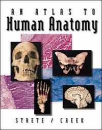 Cover image for An Atlas To Human Anatomy by Strete/Creek