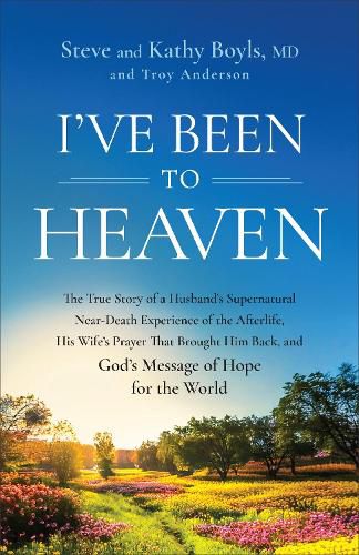 Cover image for I've Been to Heaven