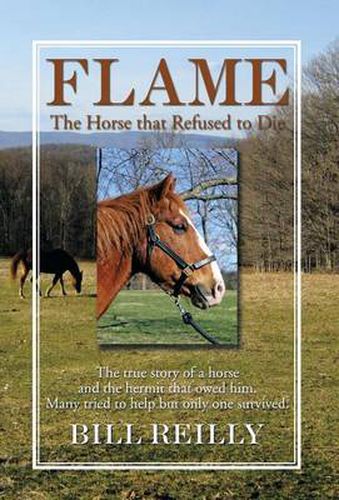 Cover image for Flame - The Horse That Refused to Die