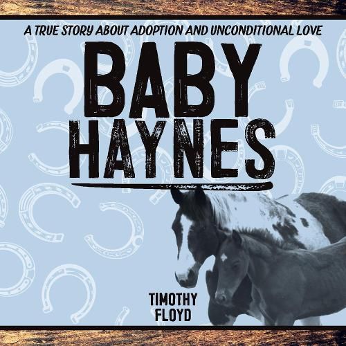 Cover image for Baby Haynes