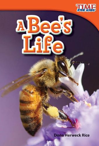 Cover image for A Bee's Life