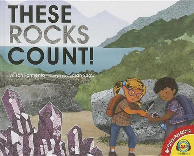 Cover image for These Rocks Count!