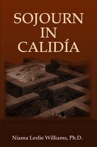 Cover image for Sojourn in Calidia