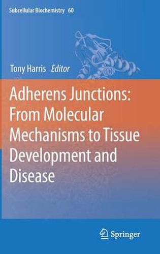 Cover image for Adherens Junctions: from Molecular Mechanisms to Tissue Development and Disease