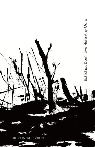 Cover image for Echidnas Don't Live Here Any More: Poems of loss and recovery since the Black Summer bushfires