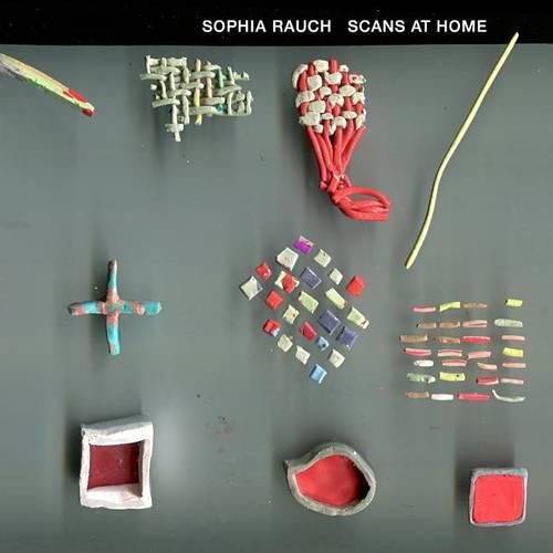 Cover image for Scans at Home