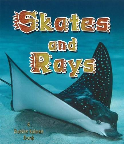 Cover image for Skates and Rays