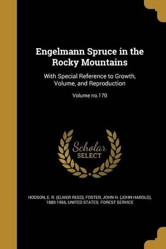 Cover image for Engelmann Spruce in the Rocky Mountains