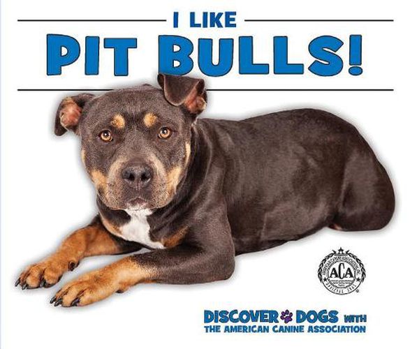 I Like Pit Bulls!