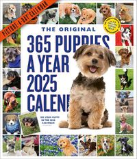 Cover image for 365 Puppies-A-Year Picture-A-Day Wall Calendar 2025