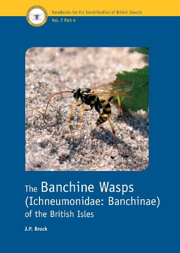 Cover image for The Banchine Wasps (Ichneumonidae: Banchinae) of the British Isles