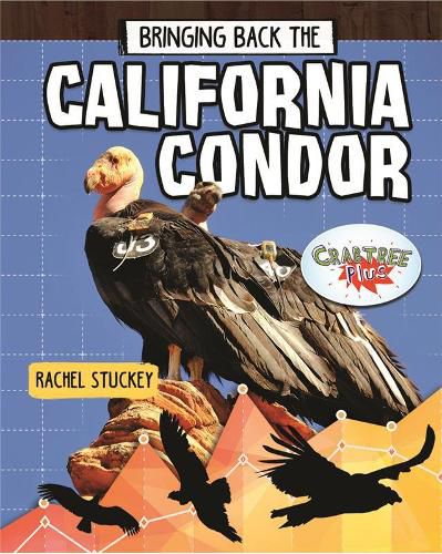 Bringing Back the California Condor