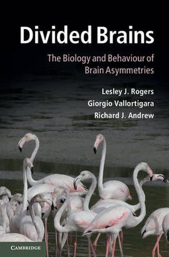 Cover image for Divided Brains: The Biology and Behaviour of Brain Asymmetries