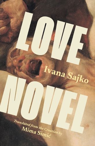 Cover image for Love Novel