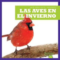 Cover image for Las Aves En El Invierno (Birds in Winter)