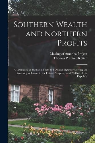 Cover image for Southern Wealth and Northern Profits