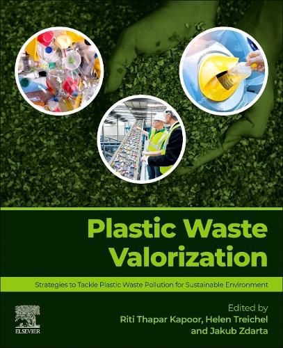 Cover image for Plastic Waste Valorization