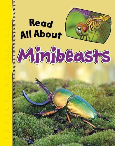 Read All About Minibeasts