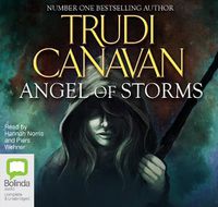 Cover image for Angel of Storms