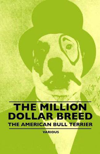 Cover image for The Million Dollar Breed - The American Bull Terrier