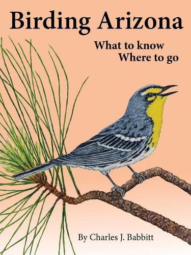 Cover image for Birding Arizona: What to Know, Where to Go