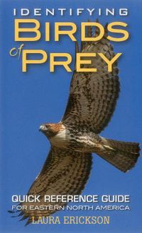 Cover image for Identifying Birds of Prey: Quick Reference Guide for Eastern North America