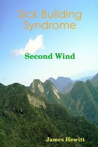 Cover image for Sick Building Syndrome: Second Wind