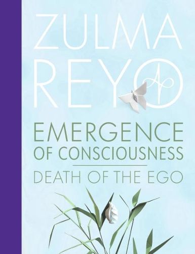 Emergence Of Consciousness
