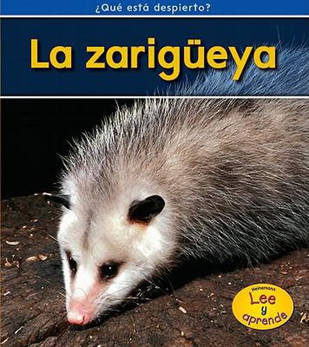 Cover image for La Zarigueya