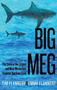 Cover image for Big Meg