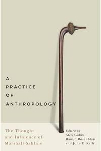 Cover image for A Practice of Anthropology: The Thought and Influence of Marshall Sahlins