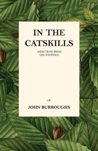 Cover image for In the Catskills - Selections from the Writings of John Burroughs