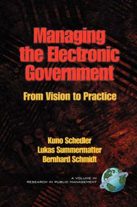 Cover image for Managing the Electronic Government: From Vision to Practice