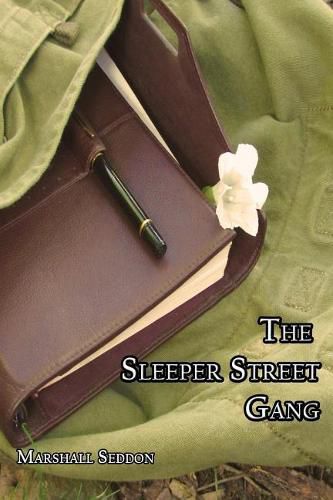 Cover image for The Sleeper Street Gang