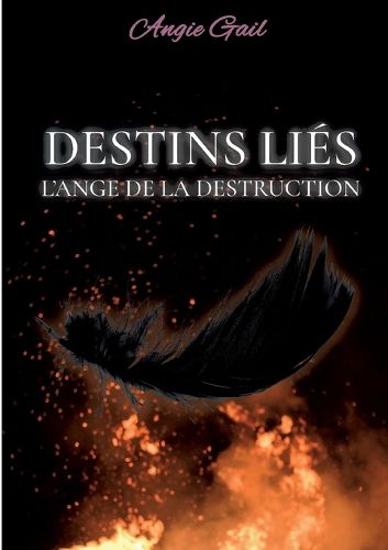 Cover image for Destins Lies