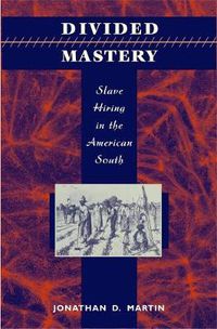 Cover image for Divided Mastery: Slave Hiring in the American South