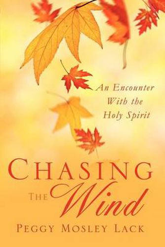 Cover image for Chasing the Wind