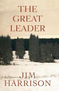 Cover image for The Great Leader: A Faux Mystery