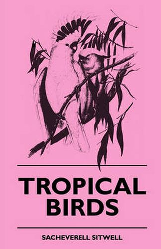 Cover image for Tropical Birds