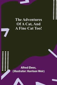 Cover image for The Adventures of a Cat, and a Fine Cat Too!