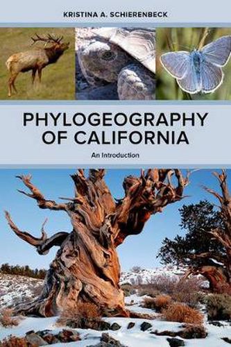 Cover image for Phylogeography of California: An Introduction