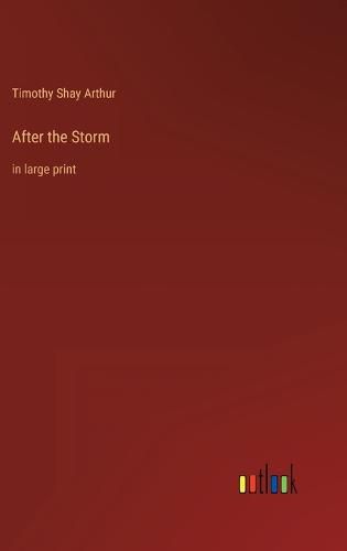 Cover image for After the Storm